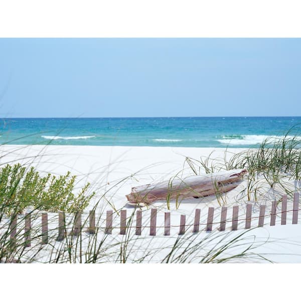 "Carolina Coast" by Various, 1 Unframed Vinyl Nature Art Print 70 in. x 60 in.