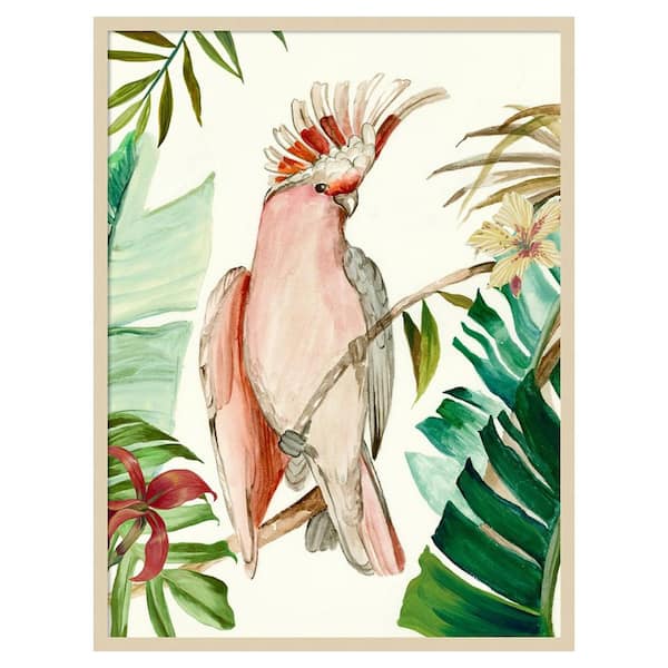 Amanti Art Tropical Bird I by Aimee Wilson 1 Piece Framed Giclee Animal Art Print 41 in. x 31 in.