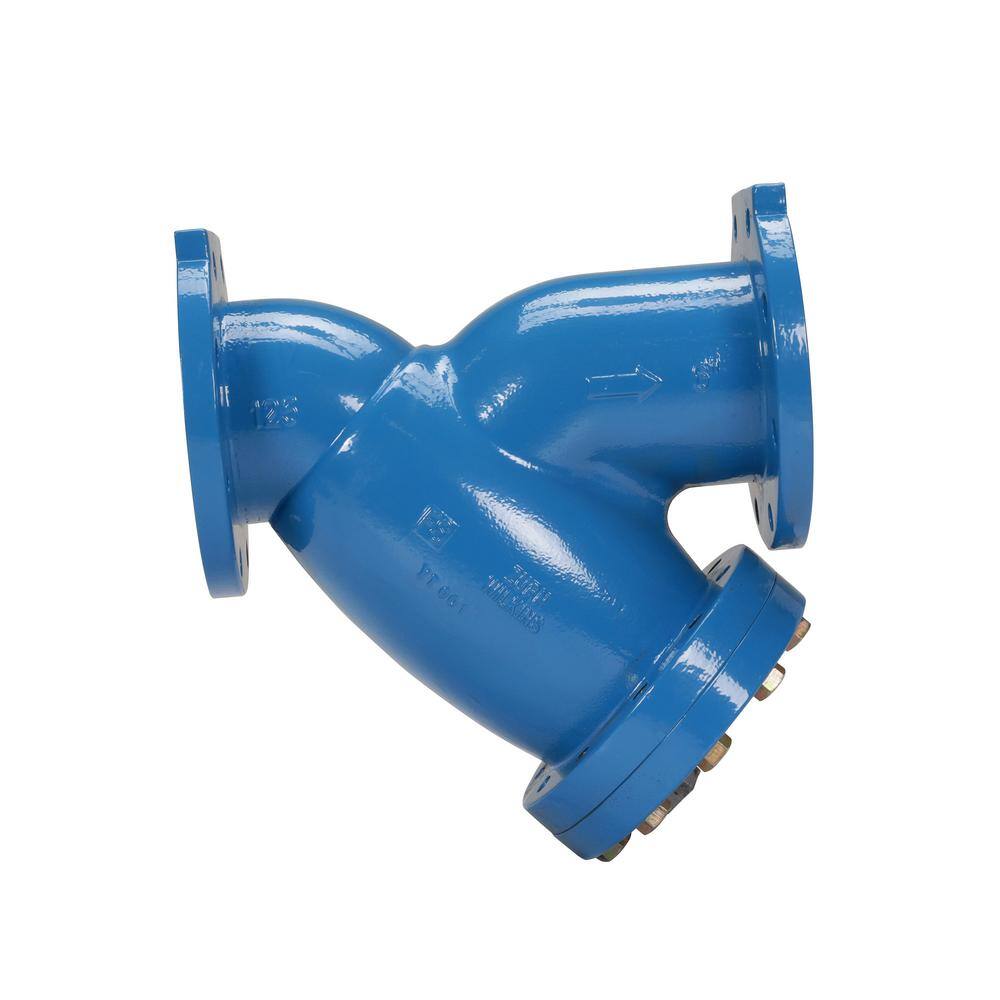 Zurn 6 in. Ductile Iron Wye Type Strainer Fitting 6FSC