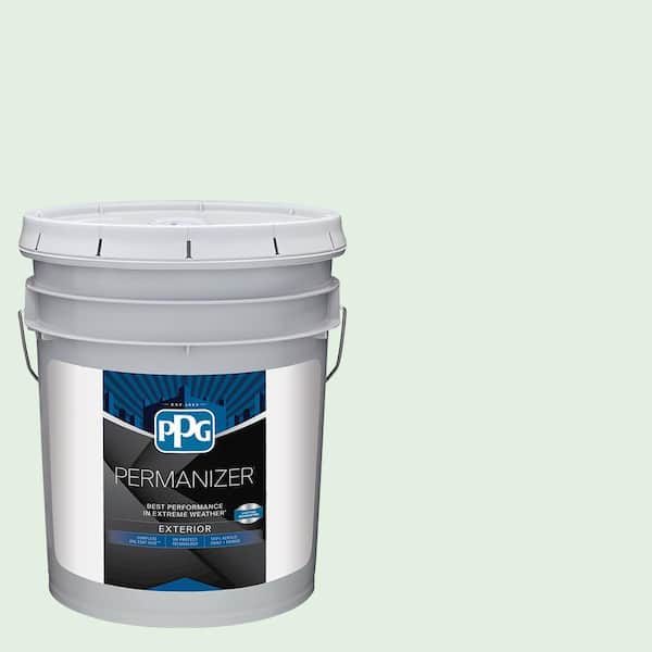 5 gal. PPG1225-1 Hint of Mint Satin Exterior Paint