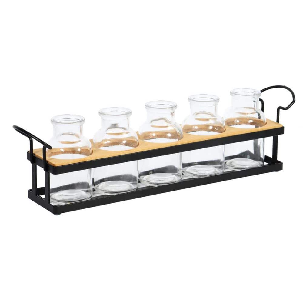 1-Piece Plant Propagation Decor Set with Black Metal Wooden Display Stand Clear Glass Bulb Propagation Jars in Black price history on PriceWatchPro
