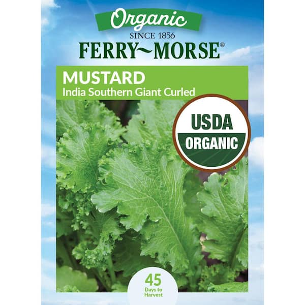 Organic Mustard Southern Giant Curled Vegetable Seeds
