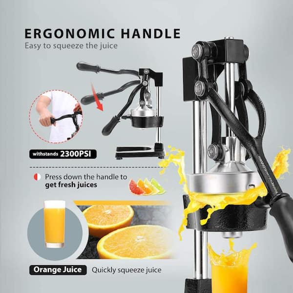 10L/2.6 Gallon Manual Fruit Juicer Hand Cheese Extractor Presser Stainless  Steel