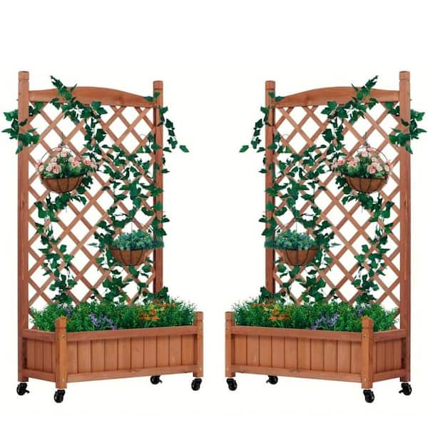 Unbranded Raised Garden Bed with Trellis, Outdoor Wooden Planter Box and Plant Stand for Climbing Plants/Vines (2 Pack)
