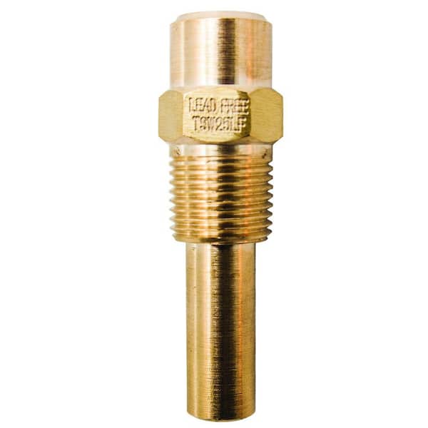 Winters Instruments 2.5 in. Lead-Free Brass Thermowell for TSW172 and TSW173 with 1/2 in. NPT