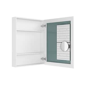 24 in. W x 30 in. H Silver Rectangular Single-Door Recessed or Surface Mount Wall Bathroom Medicine Cabinet with Mirror
