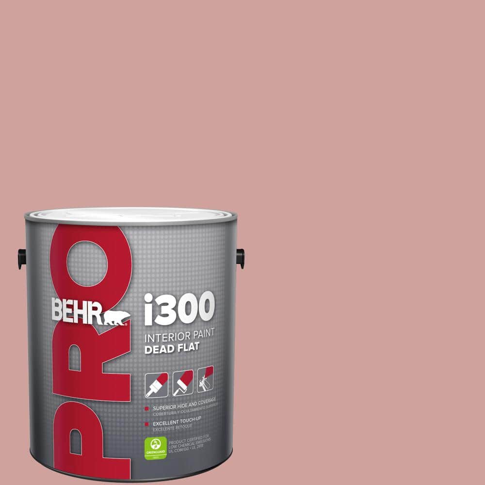 1 gal. #S150-3 Rose Pottery Dead Flat Interior Paint price history on PriceWatchPro