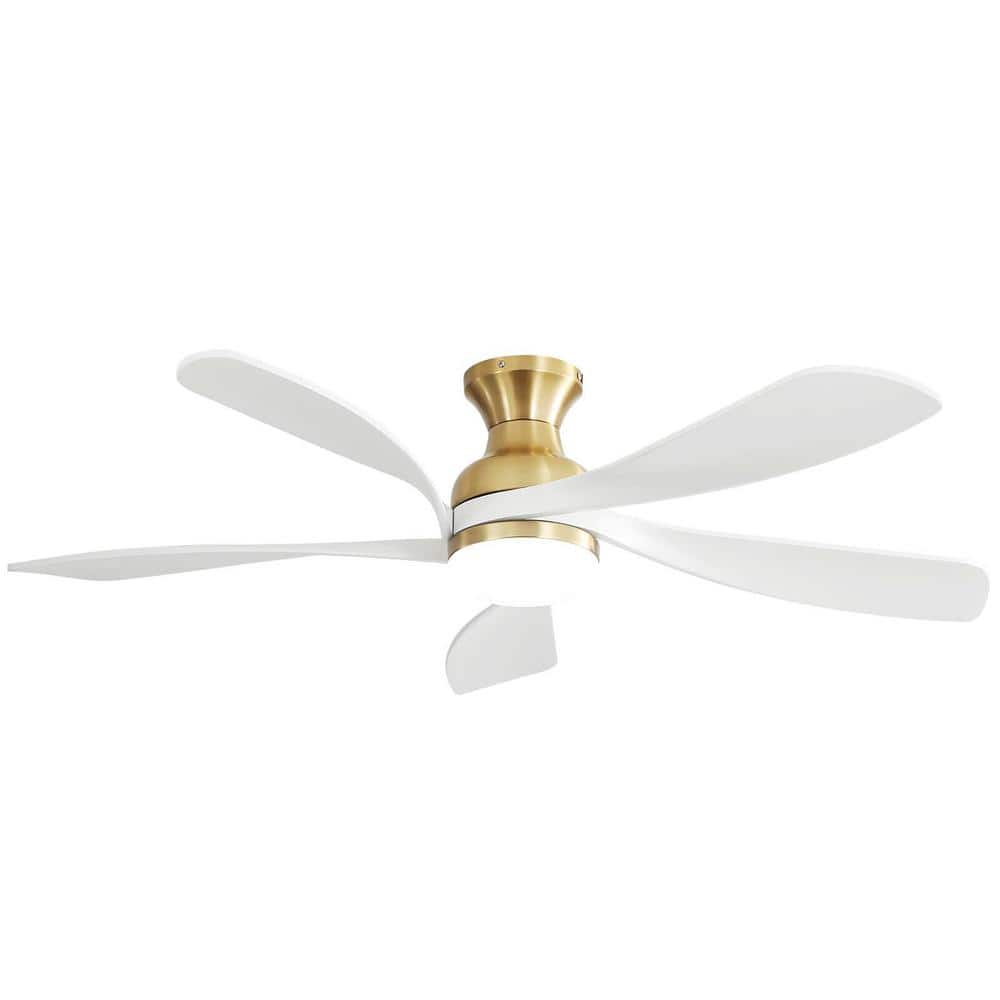 Sofucor 52 in. Indoor/Outdoor Smart 6-Speed Gold Ceiling Fan with Light ...