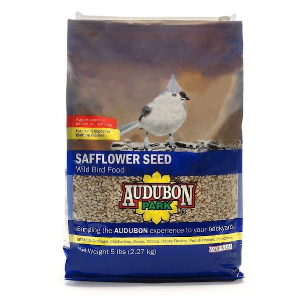 home depot safflower seed