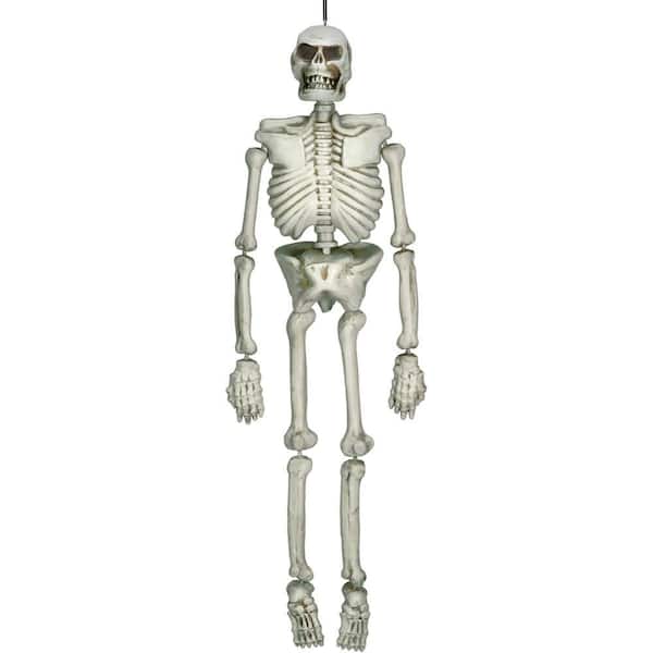 Amscan 54 in. Halloween Life Size Skeleton