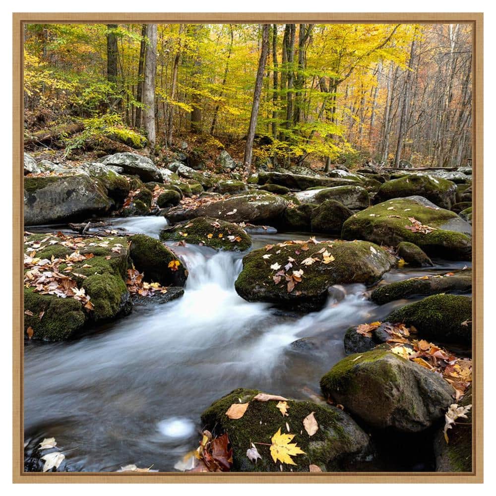 Autumn Rush Scenic Landscape Canvas Print with Maple Floater Frame