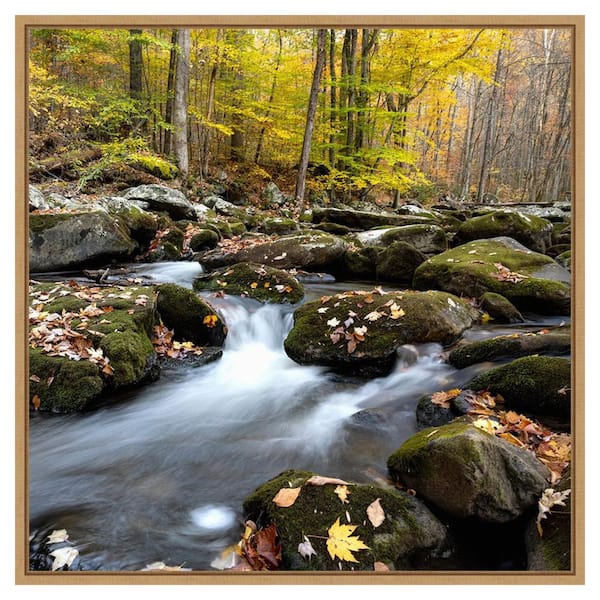 Amanti Art Autumn Rush by Danny Head 30 in. W x 30 in. H. Canvas Wall Art Print Framed in Brown