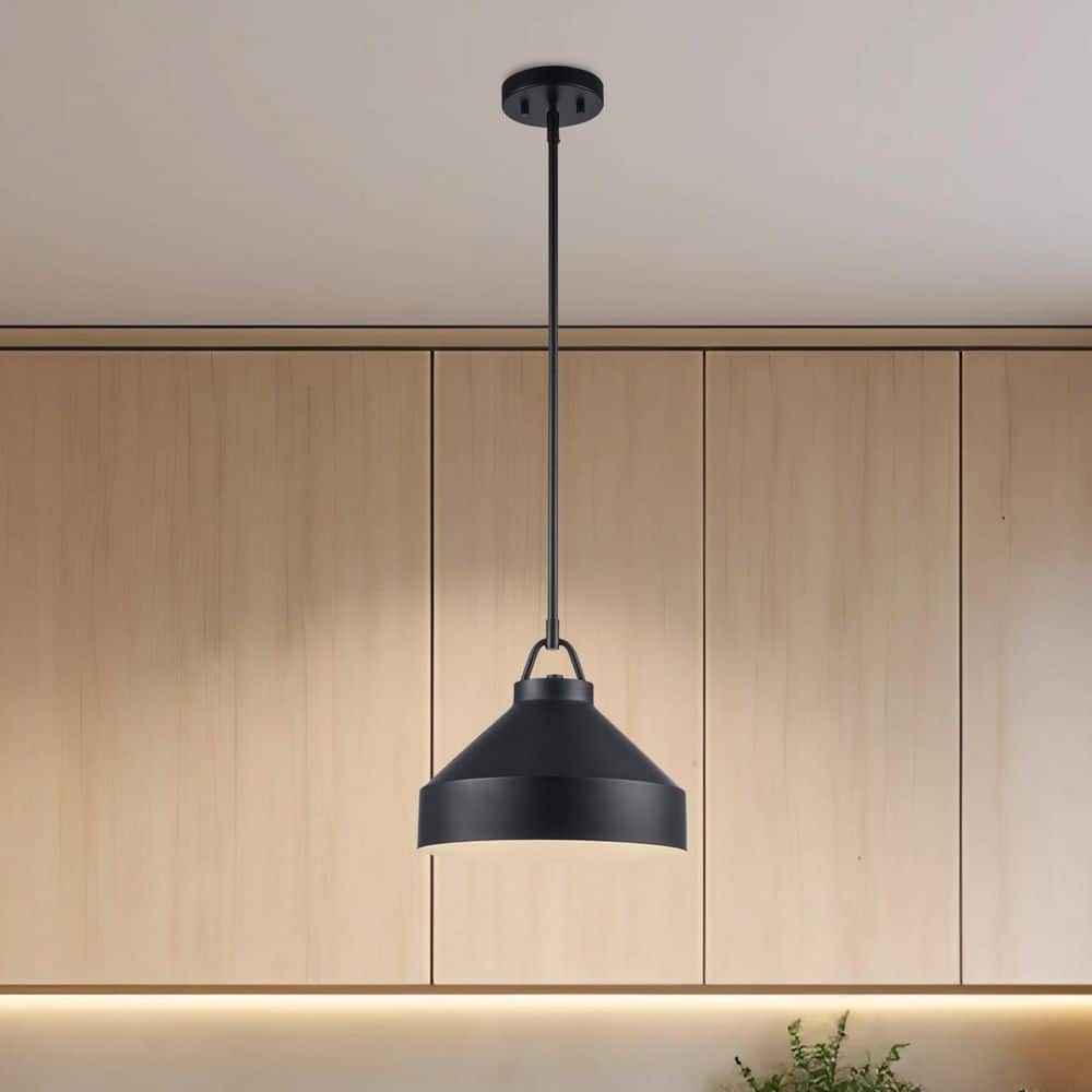 Lowen 12 in. 1-Light Black Pendant Light Fixture with Black Metal Dome Shade price history on PriceWatchPro