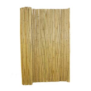 4 ft. H x 6 ft. W Natural Bamboo Fence