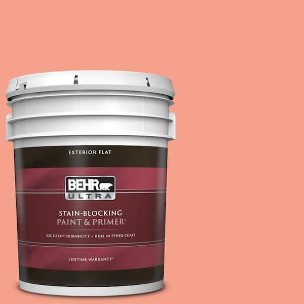 BEHR ULTRA 5 gal. Home Decorators Collection #HDC-MD-18 Peach Mimosa Flat Exterior Paint & Primer