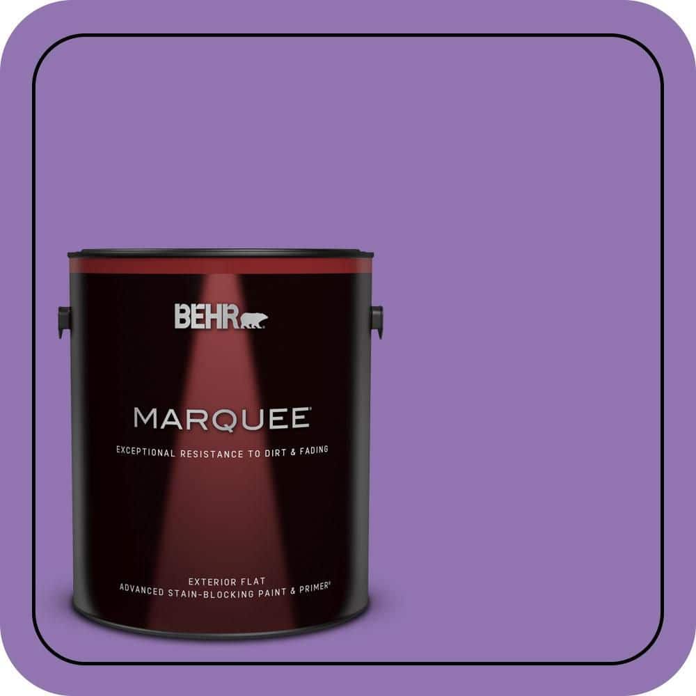 1 gal. #P570-5 Romantic Moment Flat Exterior Paint & Primer price history on PriceWatchPro