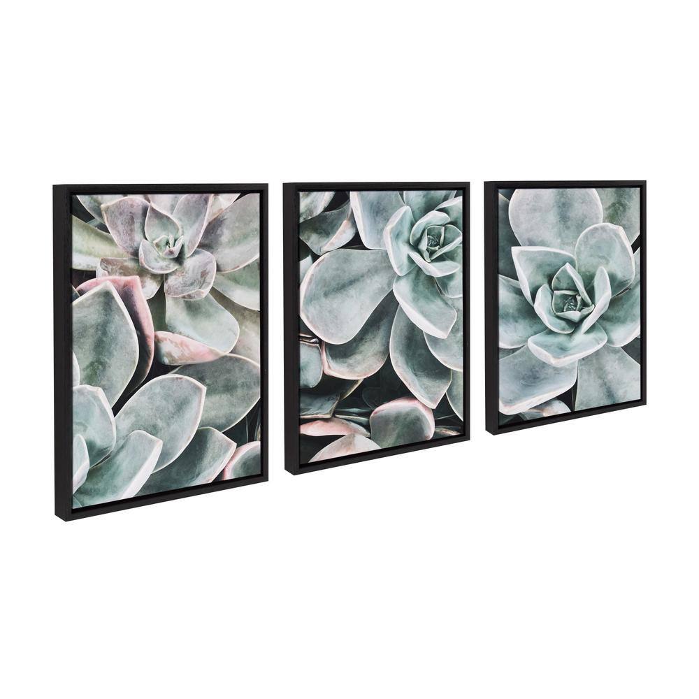 Botanical Succulent Plants Framed Canvas Wall Art Set for Nursery