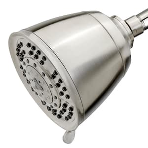 Regent All-in-One Shower Head Water Filtration System in Brushed Nickel