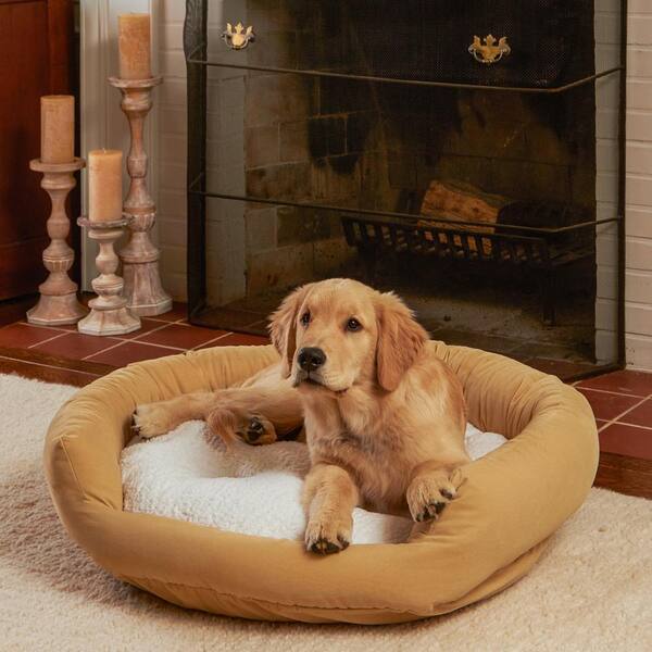 Cream dog bed sales