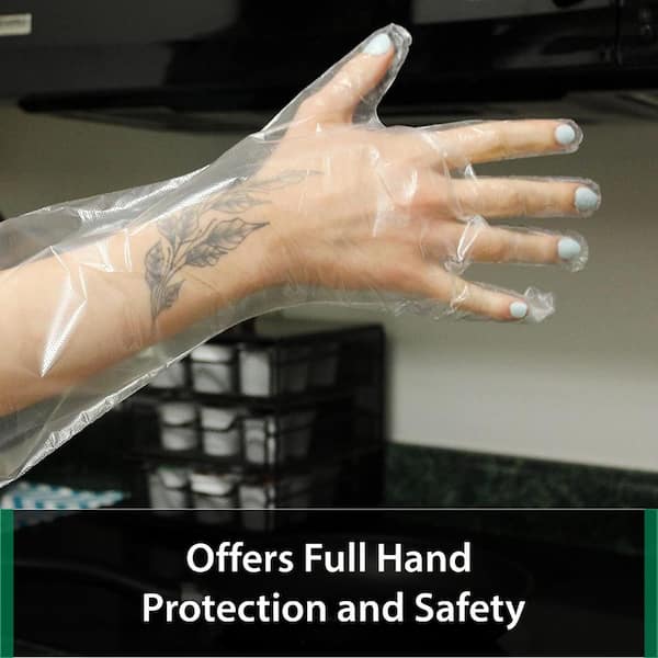 Disposable Food Handling Elbow Length Poly Gloves - One Size Fits Most, 100 per Box (1 Box)