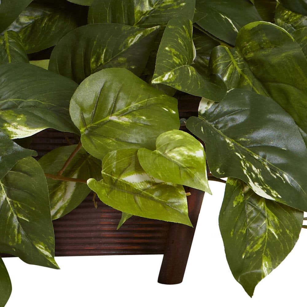 Green Pothos with Rectangle Decorative Planter, 18"
