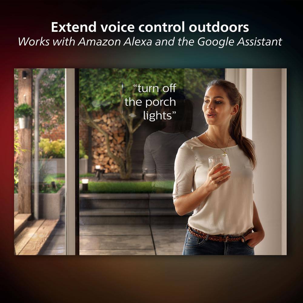 Philips Hue Lily Black Outdoor Smart Spot Light Base Kit 3-Pack