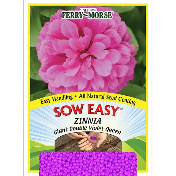 Ferry-Morse Sow Easy Zinnia Giant Double Violet Queen Seeds