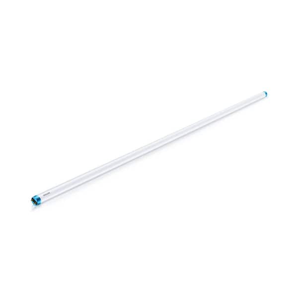 plyndringer pige Uafhængighed Philips 32W Equivalent 4 ft. Cool White Linear T8 Type A LED Tube Light  Bulb 472878 - The Home Depot