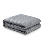 Eshe Grey Weighted Blanket 6 lbs. 41 in. x 60 in.