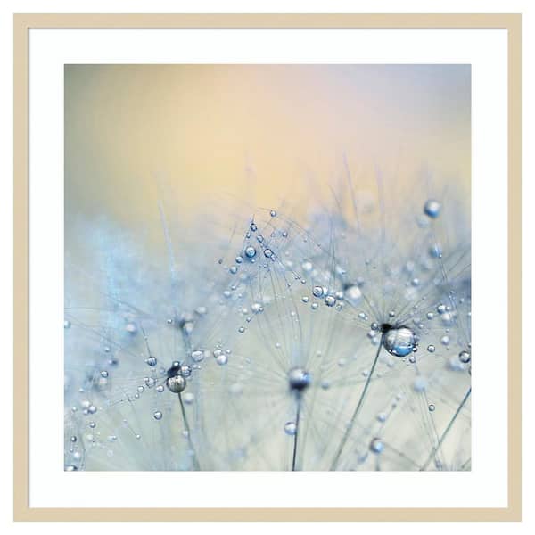 Amanti Art Ice blue by Ingrid Beddoes 33 in. W x 33 in. H. Wood Framed Wall Art Print Framed in Brown