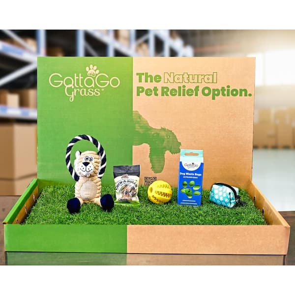 Unbranded Gotta Go Grass Potty Pad Refill Plus Treat Plus Waste Bags Plus Waste Bag Dispenser Plus Toy Ball Plus Squeaky Toy