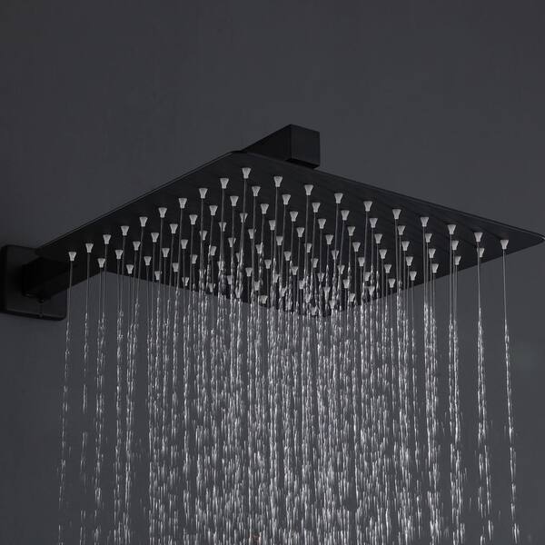 https://images.thdstatic.com/productImages/d7b2eb91-4e24-431b-b59a-d6ed37c3325c/svn/matte-black-wellfor-dual-shower-heads-wb-1004-c3_600.jpg