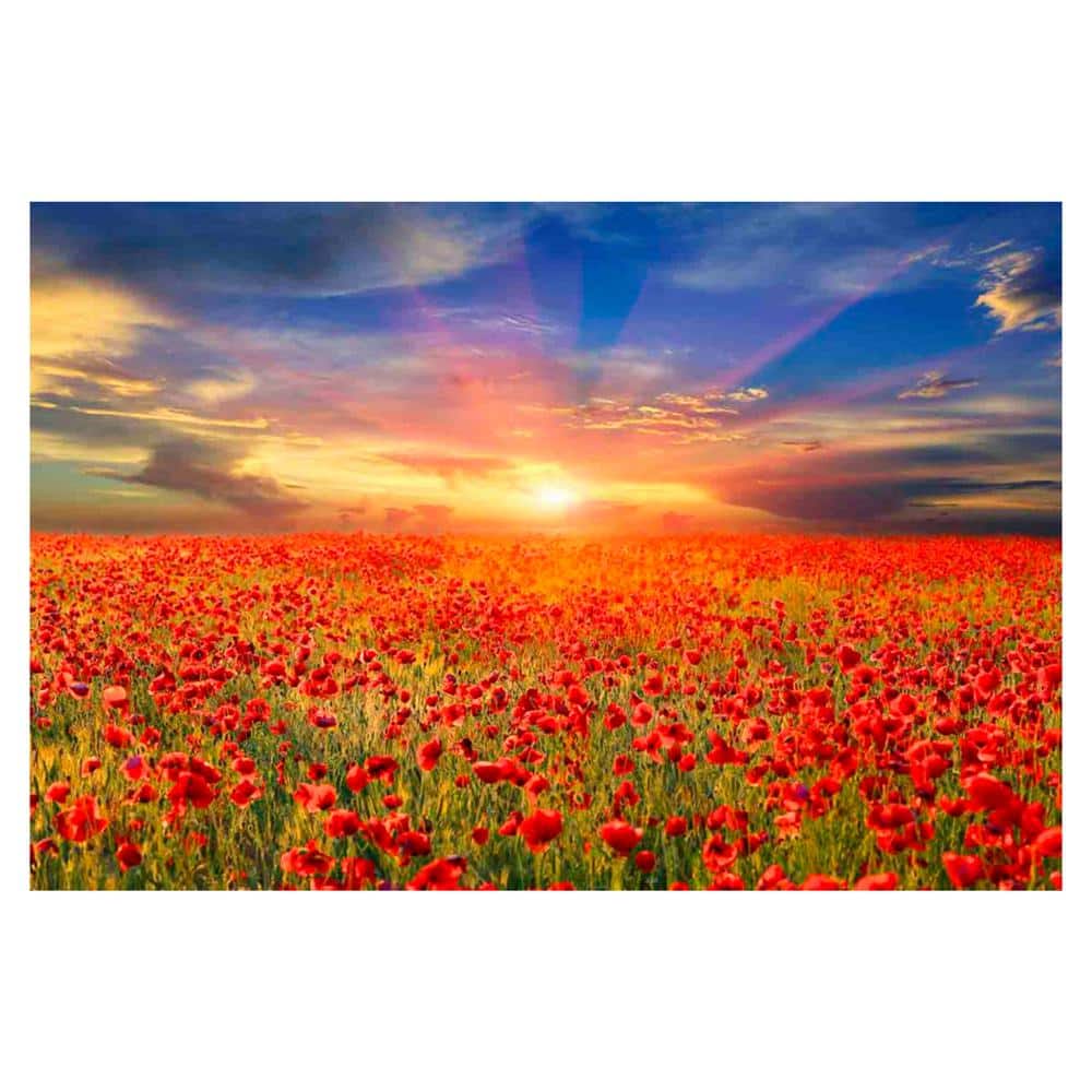 Framed Sunset Poppy Field Landscape Print in Vibrant Colors