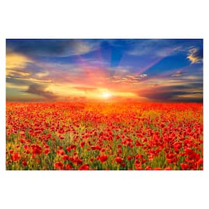 "All the Poppies" Floater Frame Nature Photography Wall Art 32 in. x 47 in.