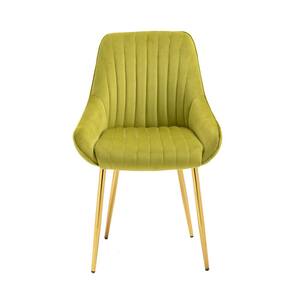 Green Velvet Fabric Upholstered Side Chair with Golden Metal Legs (Set of 1)