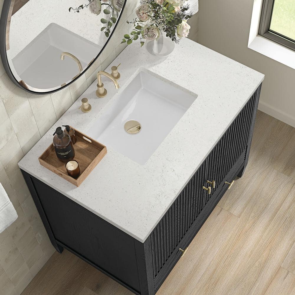 Myrrin 36" Black Plywood Single Bathroom Vanity with Porcelain Sink