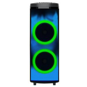 2 x 12 in. Bluetooth Speaker with Light Show