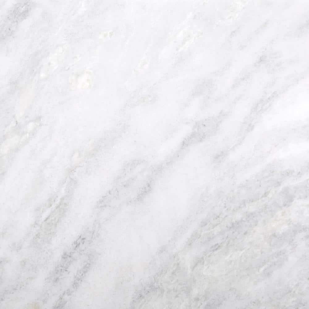 Kalta Bianco 24" x 24" Polished Marble Floor and Wall Tile