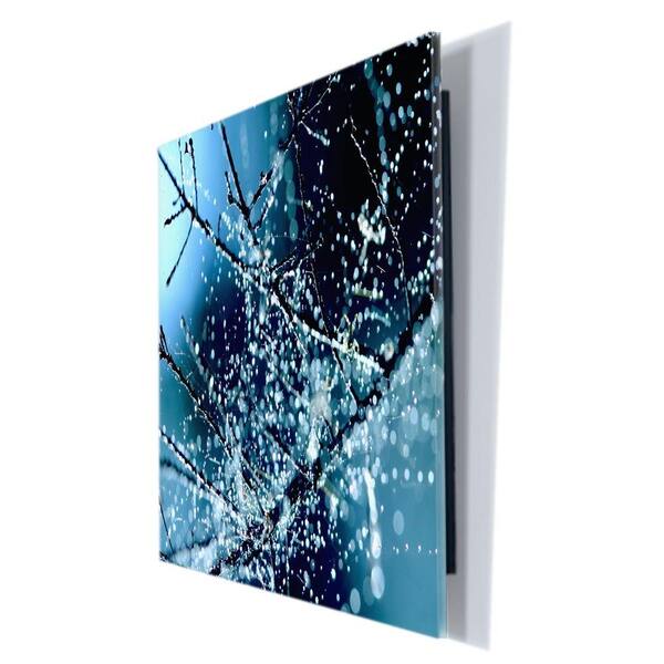 Trademark Fine Art 18 in. x 24 in. "Blue Rhapsody" by Beata Czyzowska Young Printed Acrylix Wall Art
