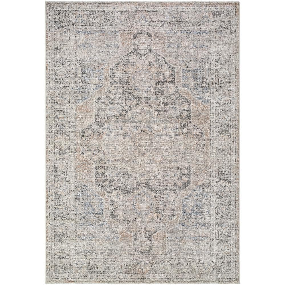 Galey Alix x  Maria Elena IV Vintage Medallion Area Rug, 7'10 in. x 10' (8' x 10'), Dark Brown price history on PriceWatchPro