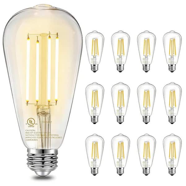 60-Watt Equivalent Dimmable Straight Filament Clear Glass E26 Vintage ST58 Edison LED Light Bulb, Soft White (12-Pack)