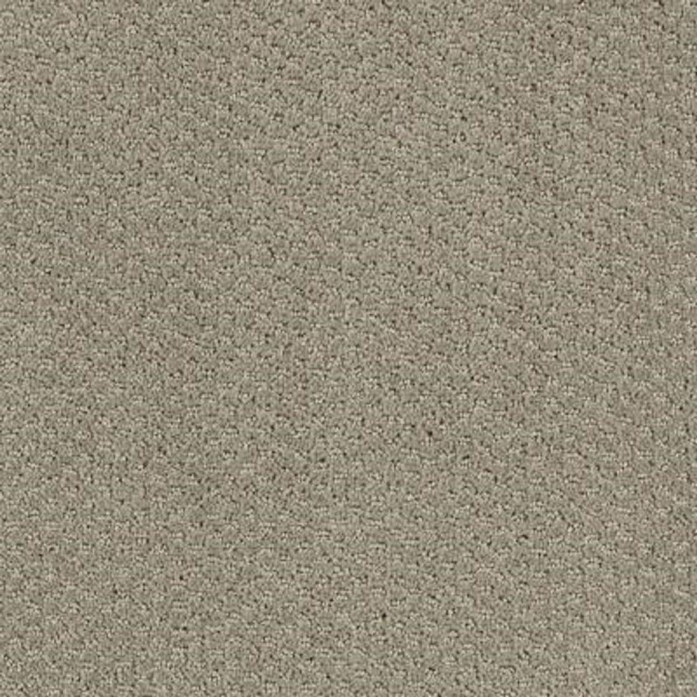8 in. x 8 in. Pattern Carpet Sample - Katama II -Color Overcast price history on PriceWatchPro