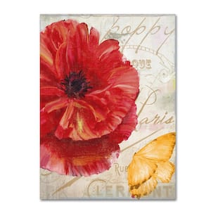 47 in. x 35 in. "Red Poppy" by Color Bakery Printed Canvas Wall Art
