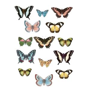 Multi-Color Spread Your Wings Wall Decal