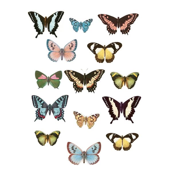 WallPops Multi-Color Spread Your Wings Wall Decal