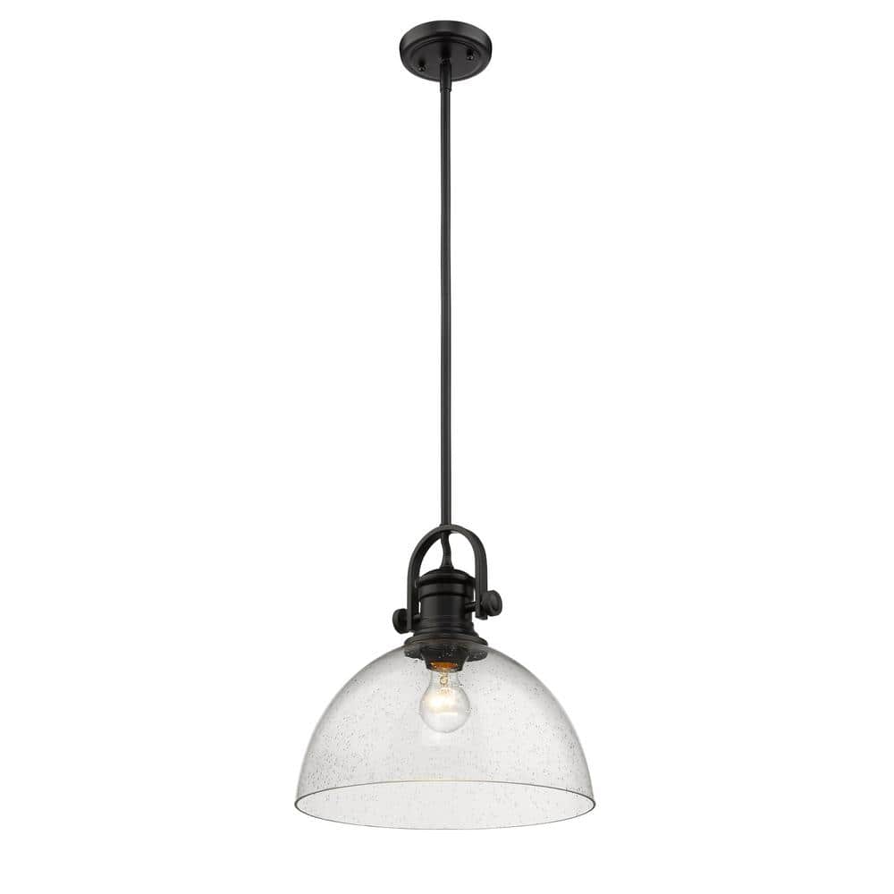 Black Steel and Glass Transitional Indoor/Outdoor Pendant Light