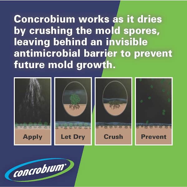 Giveaway of Concrobium Mold Control Package! - Dana K. White: A Slob Comes  Clean
