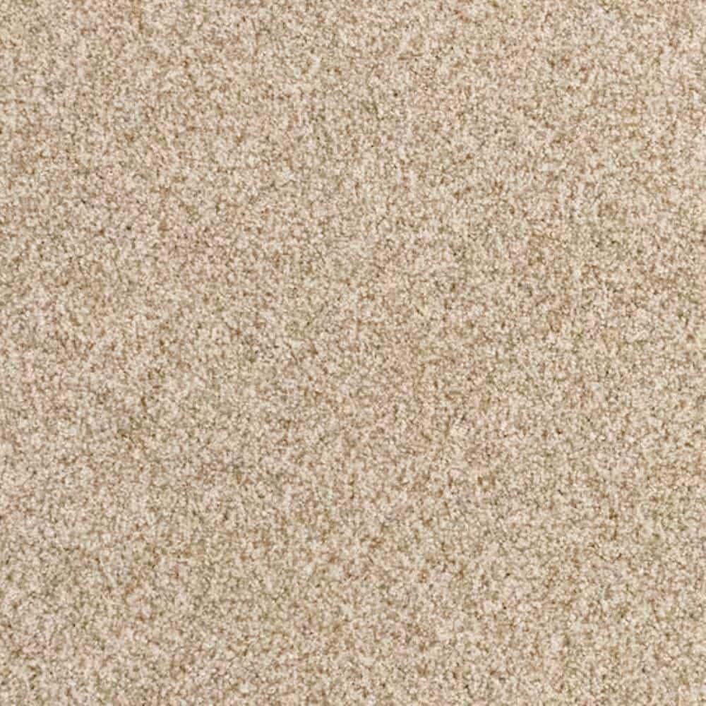 8 in. x 8 in. Texture Carpet Sample-Heartfelt Fashion-Color Coastal Sand price history on PriceWatchPro