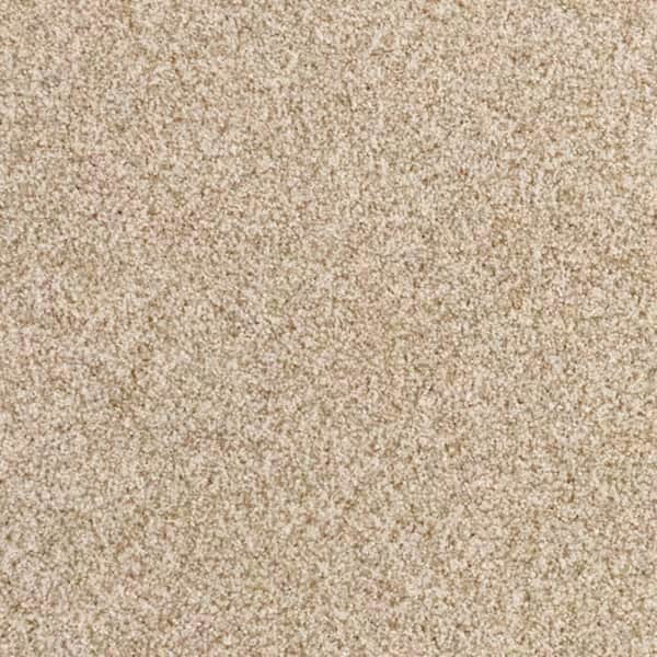 8 in. x 8 in. Texture Carpet Sample-Heartfelt Fashion-Color Coastal Sand