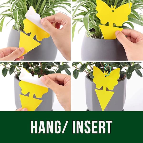Insect-proof, Yellow Fly Strips Indoor Sticky Hanging, Fly Strips